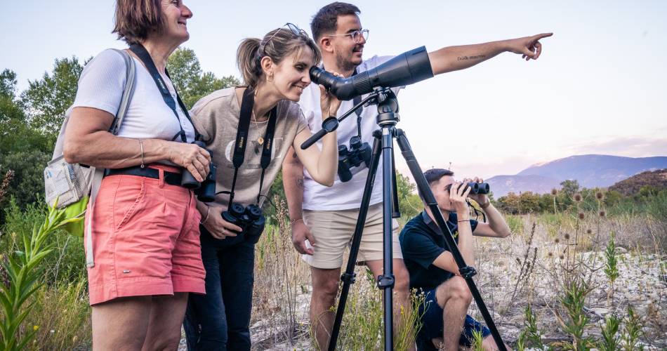Zizanie forestière - jeu de piste naturaliste avec Ecovirado@Ecovirado