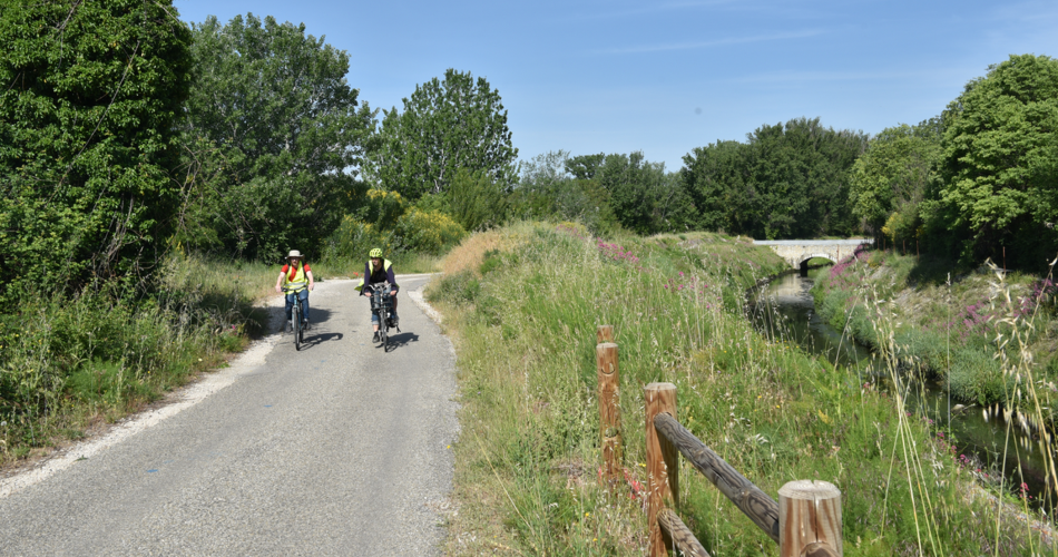 Les Foins de Montfavet-balade à vélo-58@©Grégory Quittard, Ville d’Avignon