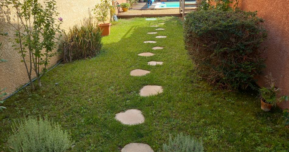 Les Myosotis@Laurent Ky