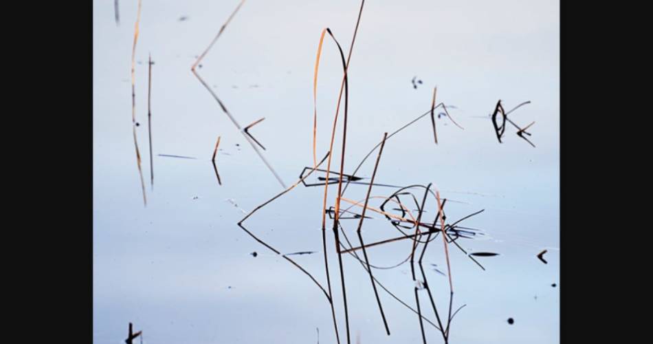 Exposition de photographies 
