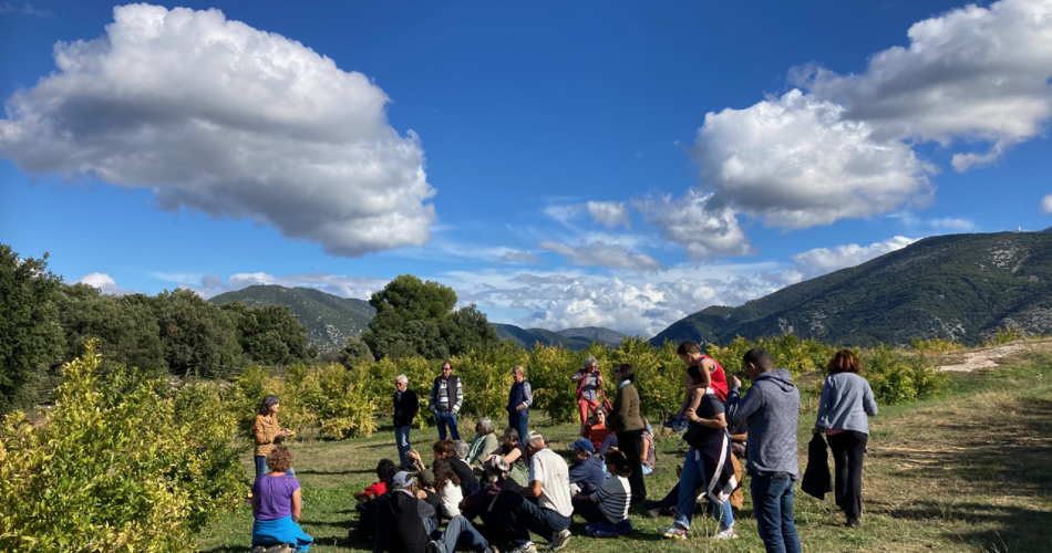 Festival Ventoux Saveurs : Balade contée dans les vergers de grenadiers@Atelier d'Hippolyte