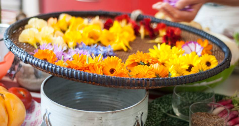 Les Aventurières du Goût - Discovering gourmet wild flowers and plants@Les Aventurières du goût