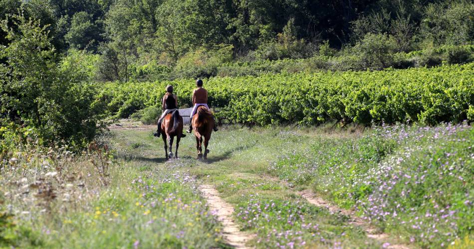 Balade à poney ou à cheval avec Les crinières du Mont Ventoux@©Hocquel A - VPA