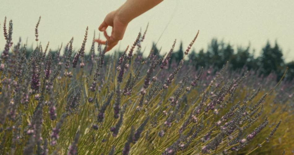 Panier des Sens@©panierdessens