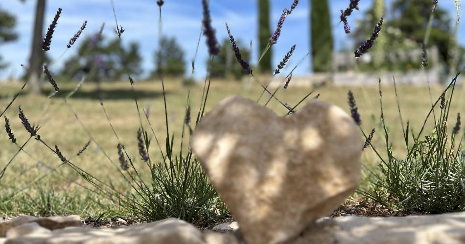 Les gîtes du Domaine de Piedmoure@Damian Madleen