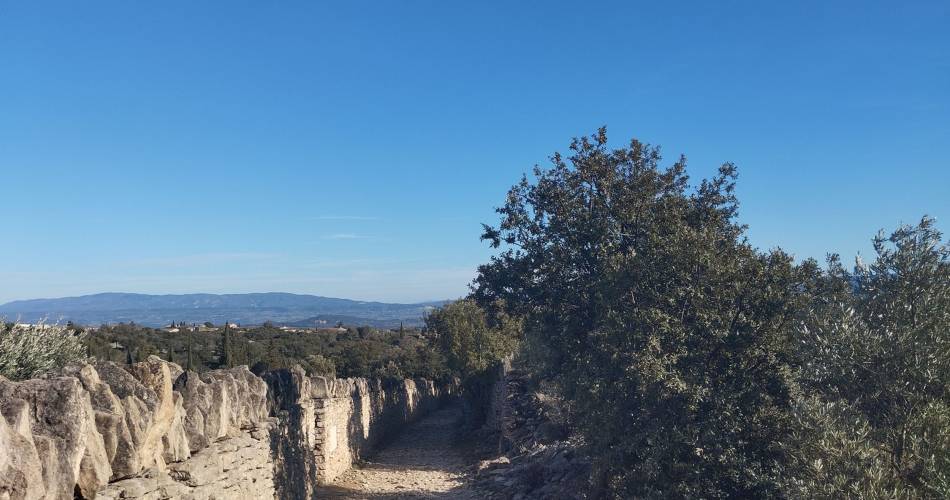 Trails of the Maquis de Gordes through La Sénancole@©Coralie Calès - PNR Luberon
