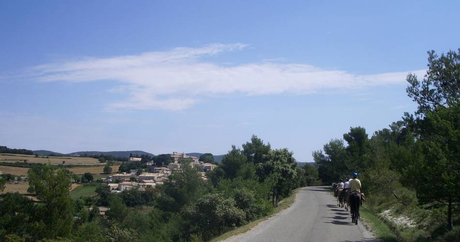 Monts-de-Vaucluse by horseback@Florence Farcot - Centre équestre de Joucas