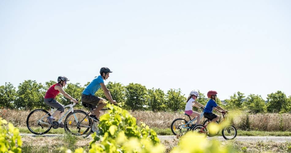 The vines at the mercy of the bike riding season@Damien Rosso - Drozphoto