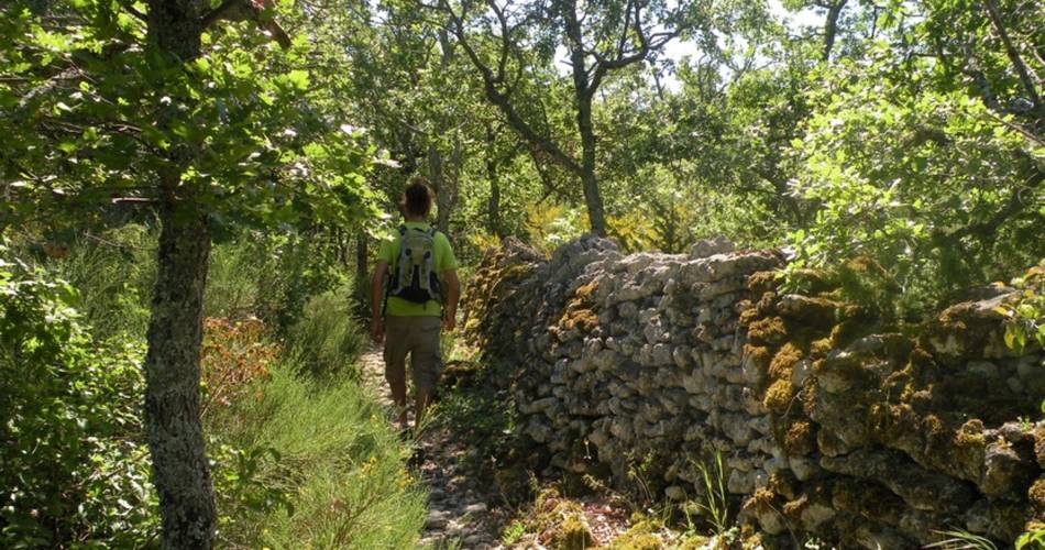 SAIGNON - Chemin de La Gardette@Eléa De Robert - PNR Luberon