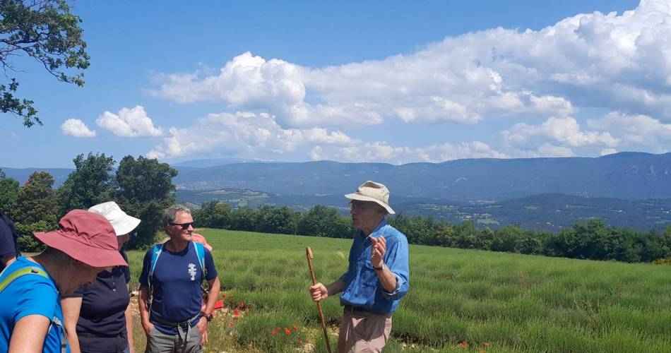 Saignon, La Gardette path@©PNR Luberon