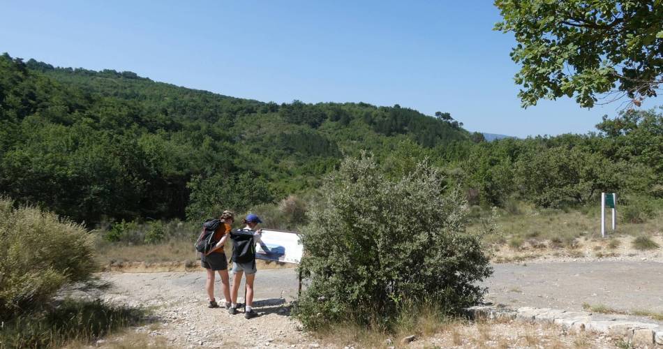 VIENS - Dalle à empreintes@©Pauline Rimbert - PNR Luberon
