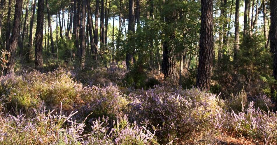 VILLARS - Le massif de La Bruyère@David Tatin
