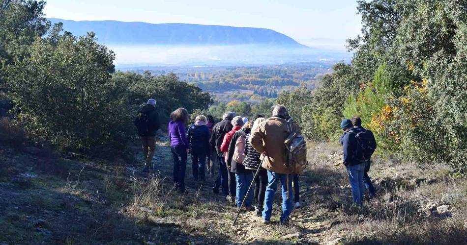 Truffelwandeling voor fijnproevers - met Destination Luberon@©Destination Luberon