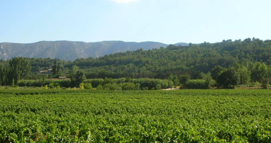 In the footsteps of the Garelle