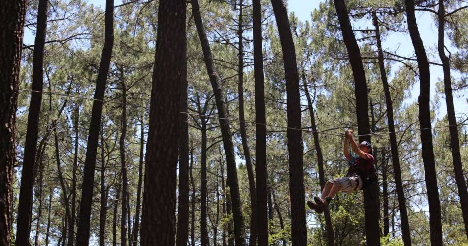 Bollène Aventure (Acrobatisch parcours in het bos)@Coll. Bollène Aventure