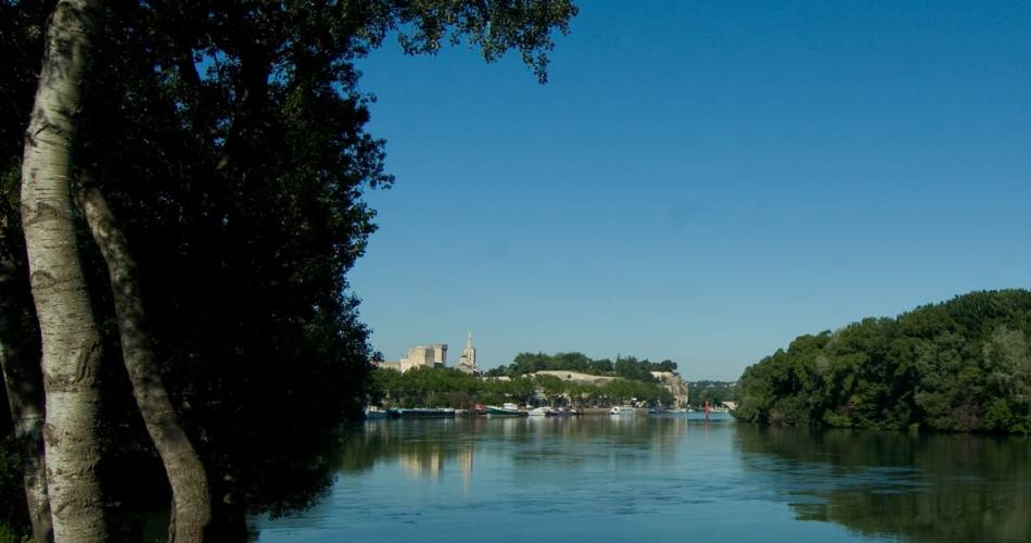 L'Île de la Barthelasse-balade à vélo-4@©ClemenceRodde