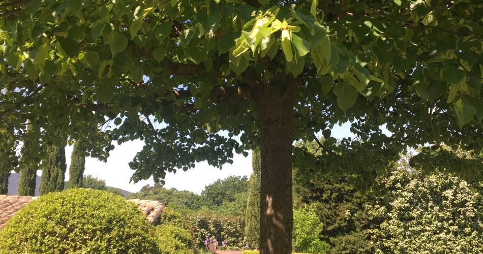 Le Jardin@Le Jardin Vaison