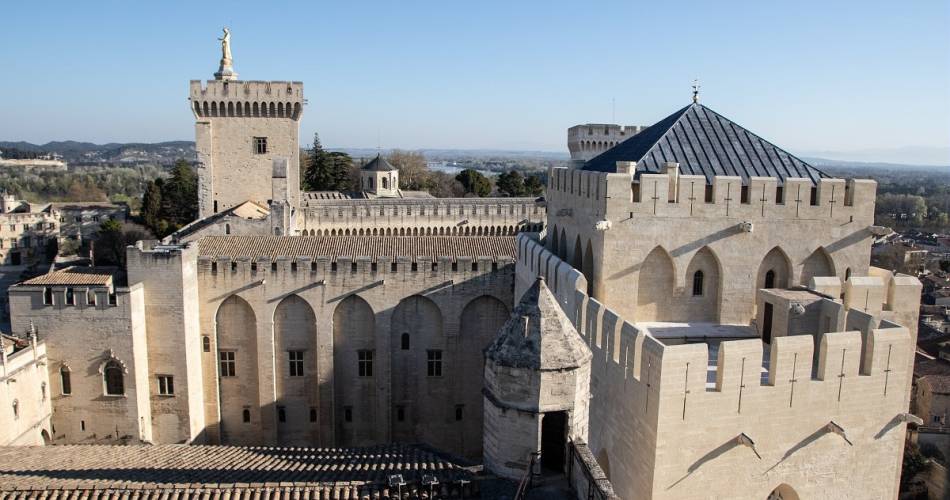 Discovering the Palais des Papes - guided tour in English@© F. Mariotti / Avignon Tourisme