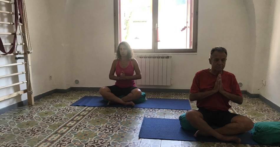 Stage Yoga Iyengar & coaching holistique de juillet 2024@Fanny Walter