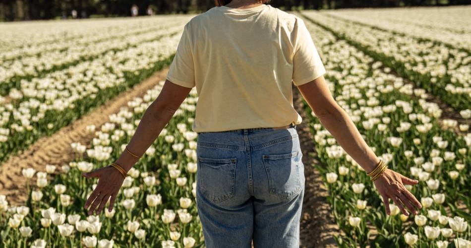Les champs de tulipes@B.Delhomme
