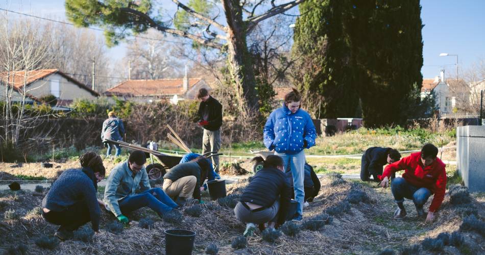 Le Tipi - Ferme urbaine@Lucie DL