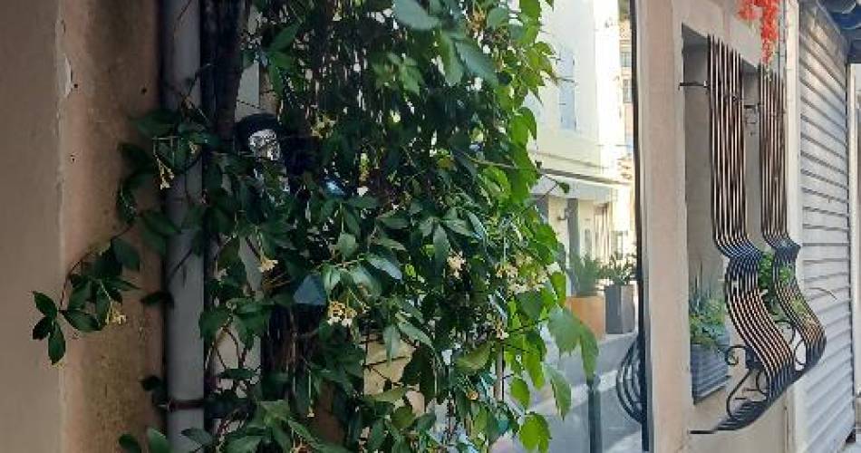 Le Saint Florent@© St Florent