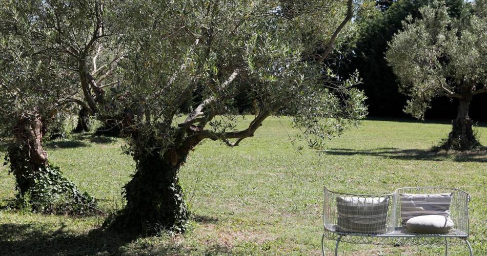 Justin de Provence@© Justin de Provence