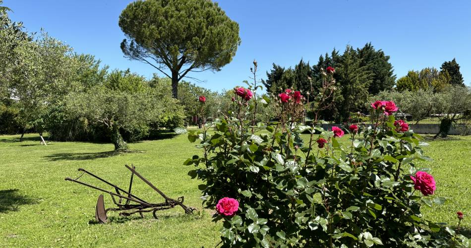 Justin de Provence@©Justin de Provence