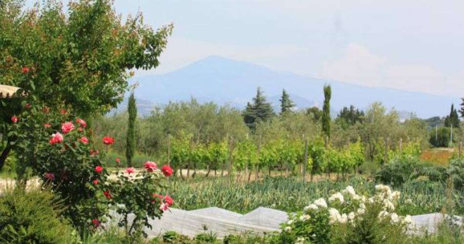 Le Jardin de la Bastide - Les Chambres@Clévacances