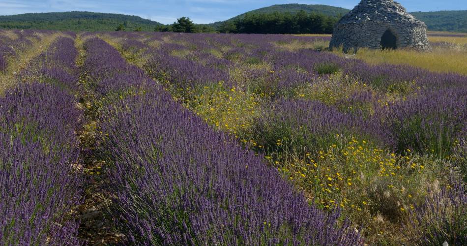 Gîte Roussillon@©BLANC.Isabelle