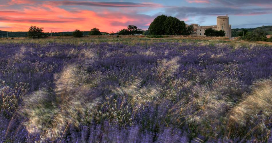 Gîte Roussillon@©BLANC.Isabelle