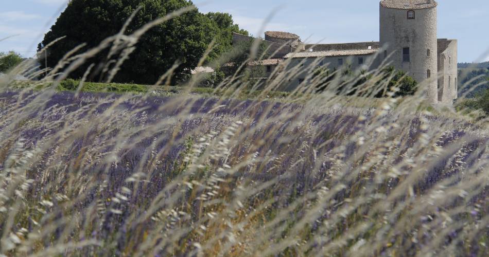 Gîte Roussillon@©BLANC.Isabelle