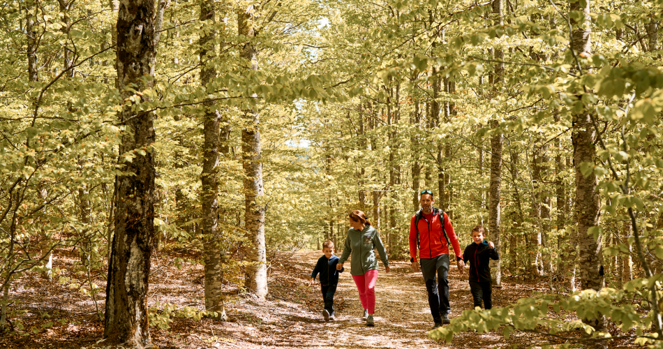 AUREL - Découverte de la grande faune du Ventoux@©D. Rosso