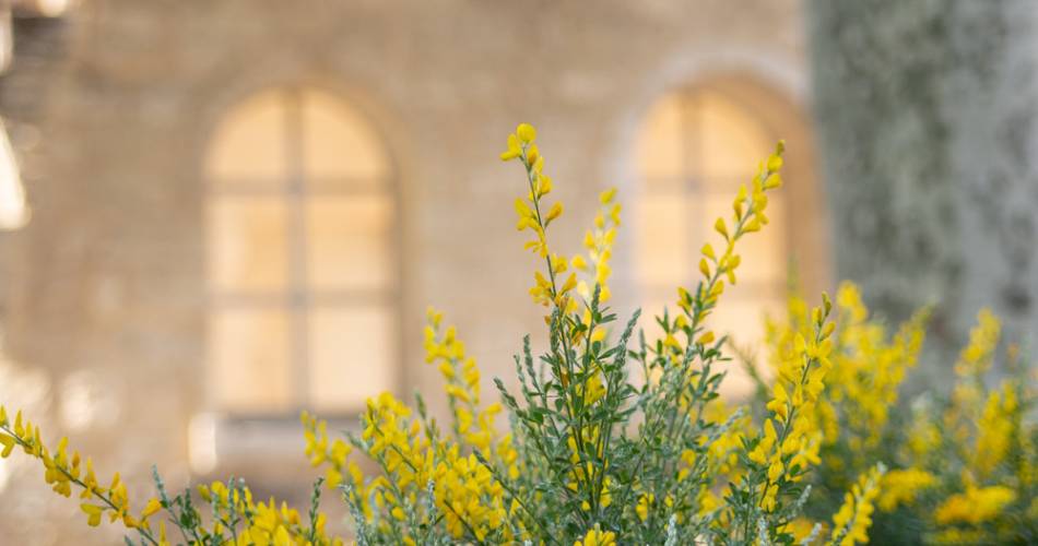 Dimanches aux jardins : création d'une carte en fleurs séchées@©Alex Nollet-La Chartreuse