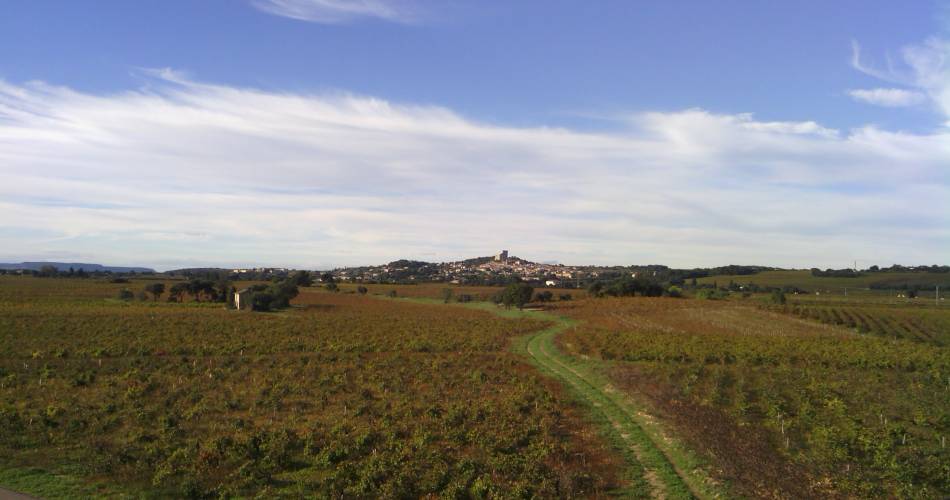 Domaine Chante Perdrix@Domaine Chante Perdrix