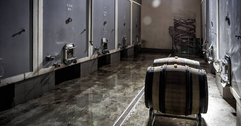 Domaine Condorcet - Cuvée Anaïs@Domaine Condorcet