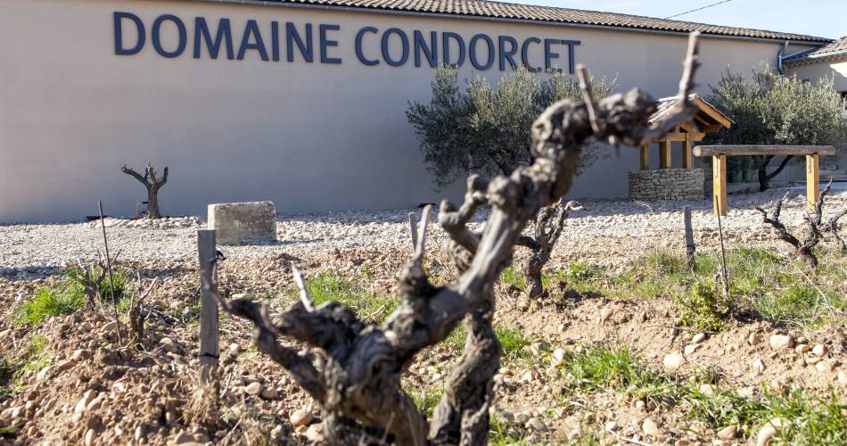 Domaine Condorcet - Cuvée Anaïs@Domaine Condorcet