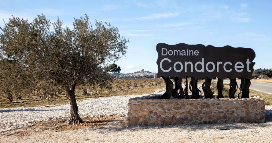 Domaine Condorcet - Cuvée Anaïs@Domaine Condorcet