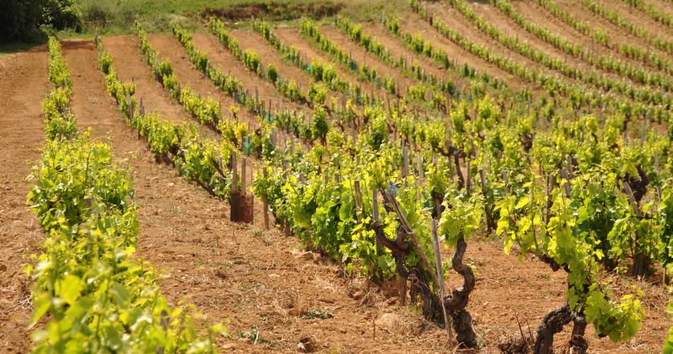 Domaine du Banneret@Domaine du Banneret