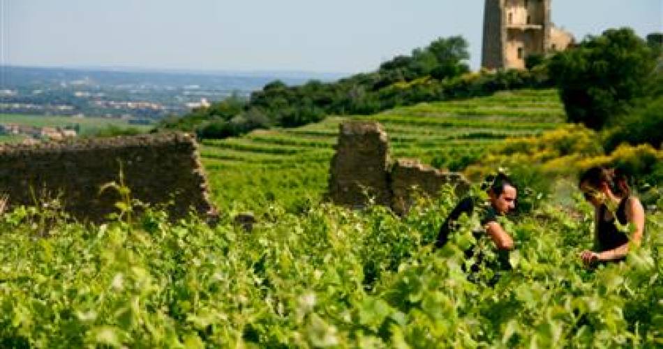 Domaine Giraud@Domaine Giraud