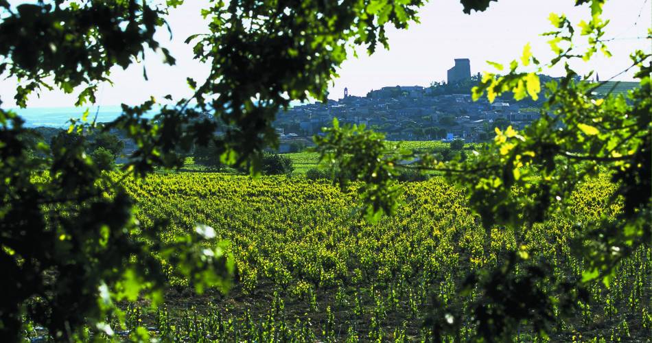 Vignobles Famille Quiot@©Vignobles Famille Quiot