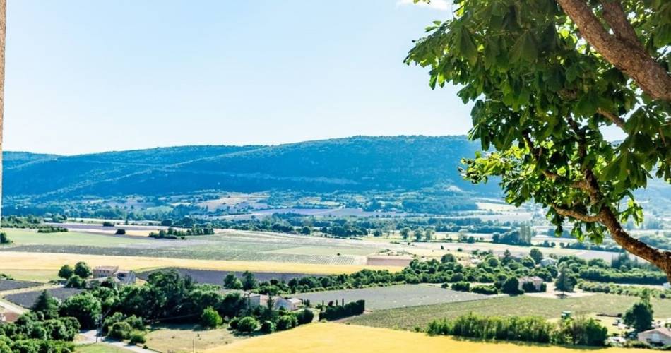 L'étape du Ventoux@Christophe Abbes