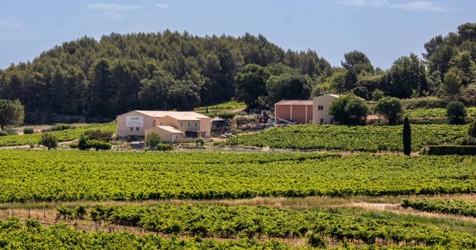 Portes Ouvertes du Domaine viticole Le Collet Vert à Pertuis@COLLET VERT