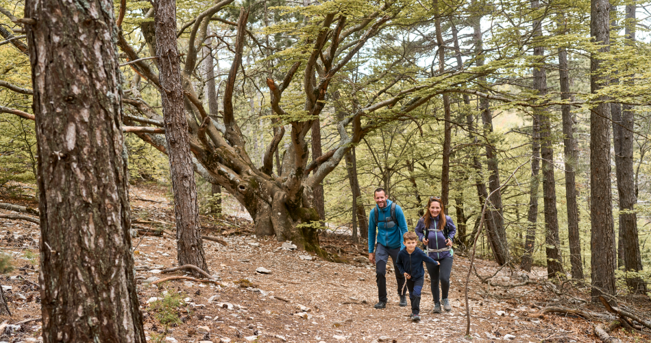 BEDOIN - Sentier des Pichouns@©D. Rosso