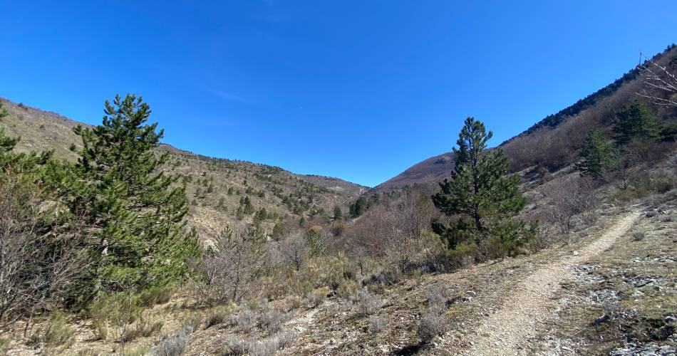 BÉDOIN - Sentier des Pitchouns@CCSB