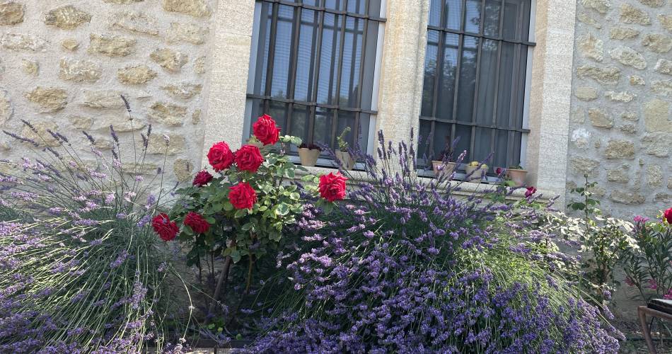 Le Grand Jardin@remy