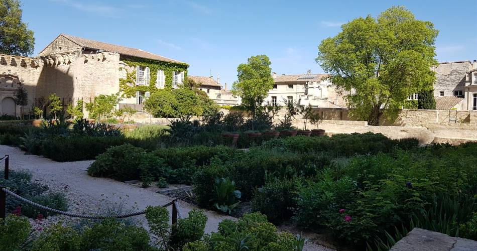 Entre ville et nature - cycle de trois visites guidées@©Carine Mériaux - Avignon Tourisme