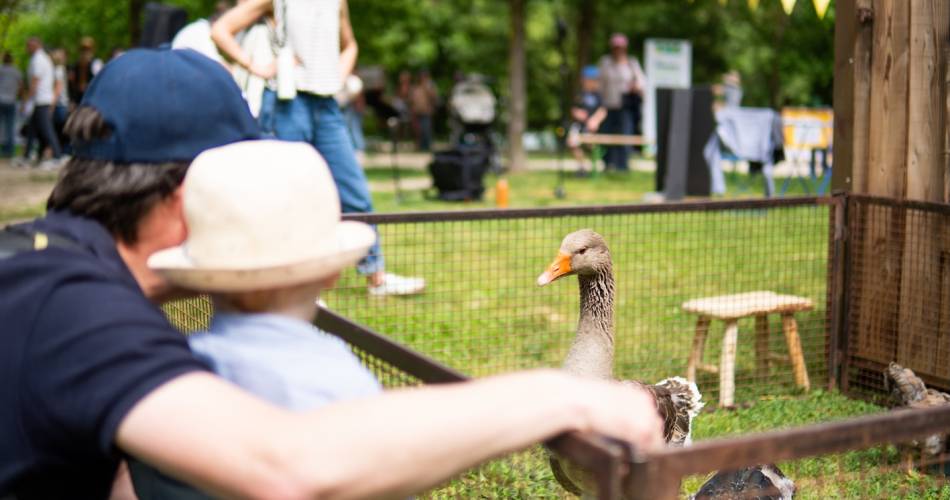 Festival de la Sorgue@Isle sur la Sorgue Tourisme
