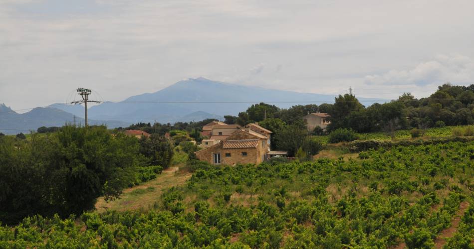 Le Mas Mellou : Le Levant@© Mas Mellou