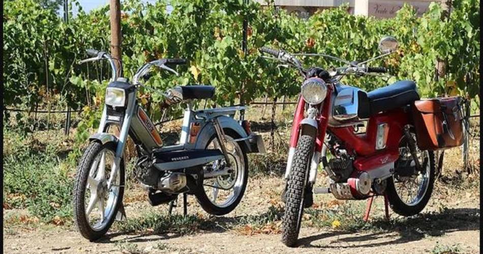 Vintage-Ausflug mit dem Moped auf die Domaine Vintur@Domaine Vintur